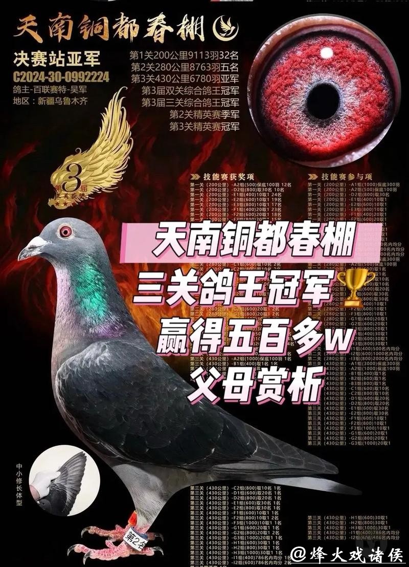 2200万天价“神奇小鸟”背后:恒源詹姆士黄永源的赛鸽王朝 2200万天价“神奇小鸟”背后:恒源詹姆士黄永源的赛鸽王朝